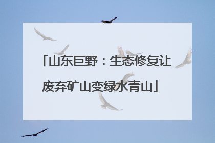 山东巨野：生态修复让废弃矿山变绿水青山