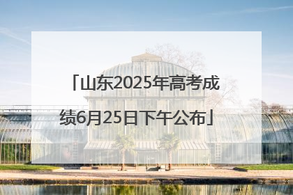 山东2025年高考成绩6月25日下午公布