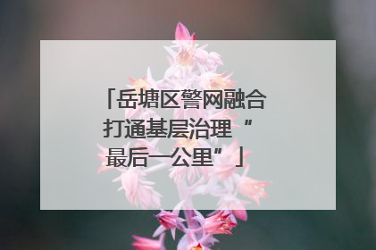 岳塘区警网融合 打通基层治理“最后一公里”