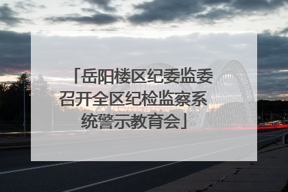 岳阳楼区纪委监委召开全区纪检监察系统警示教育会