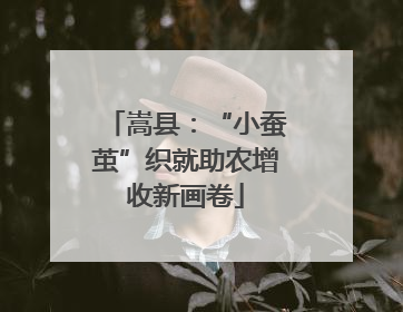 嵩县：“小蚕茧”织就助农增收新画卷