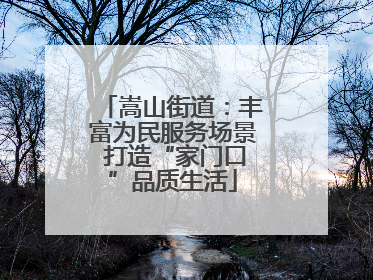 嵩山街道：丰富为民服务场景 打造“家门口”品质生活