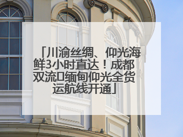 川渝丝绸、仰光海鲜3小时直达！成都双流⇌缅甸仰光全货运航线开通