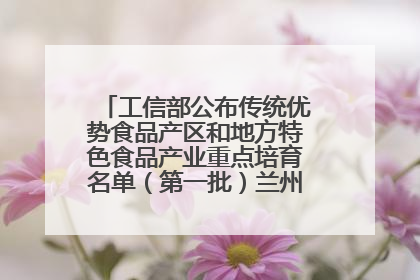 工信部公布传统优势食品产区和地方特色食品产业重点培育名单（第一批）兰州牛肉拉面位列其中