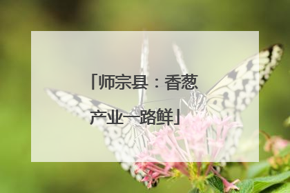 师宗县：香葱产业一路鲜