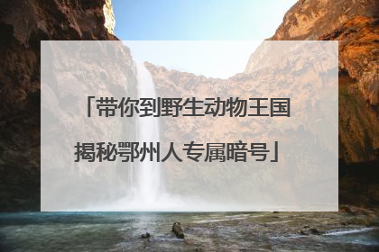 带你到野生动物王国揭秘鄂州人专属暗号