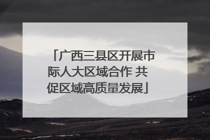 广西三县区开展市际人大区域合作 共促区域高质量发展