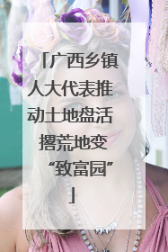 广西乡镇人大代表推动土地盘活 撂荒地变“致富园”