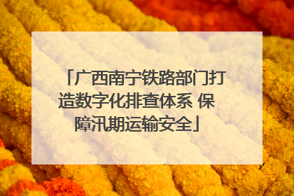 广西南宁铁路部门打造数字化排查体系 保障汛期运输安全