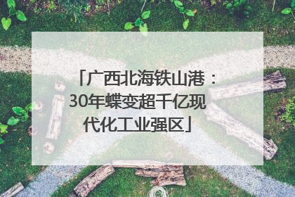 广西北海铁山港：30年蝶变超千亿现代化工业强区