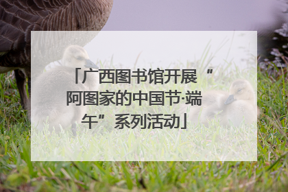 广西图书馆开展“阿图家的中国节·端午”系列活动