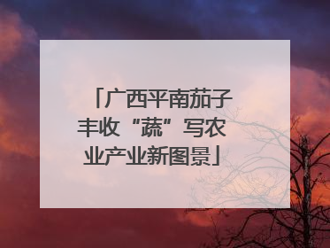 广西平南茄子丰收“蔬”写农业产业新图景
