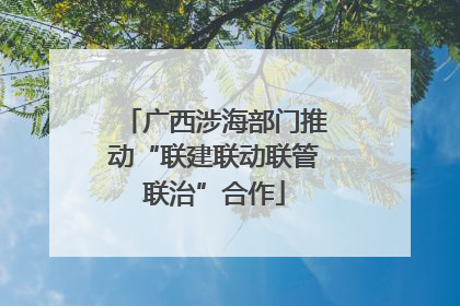 广西涉海部门推动“联建联动联管联治”合作
