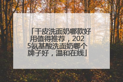 干皮洗面奶哪款好用值得推荐，2025氨基酸洗面奶哪个牌子好，温和在线