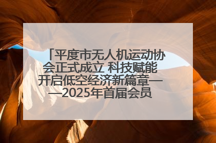 平度市无人机运动协会正式成立 科技赋能开启低空经济新篇章——2025年首届会员大会暨无人机应用发展论坛成功举办