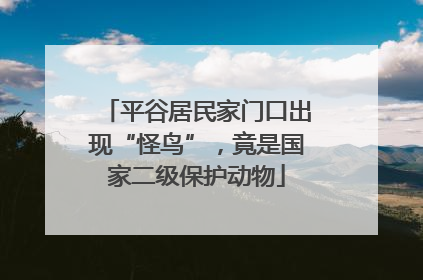 平谷居民家门口出现“怪鸟”，竟是国家二级保护动物