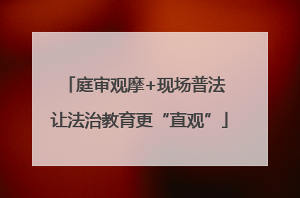 庭审观摩+现场普法 让法治教育更“直观”