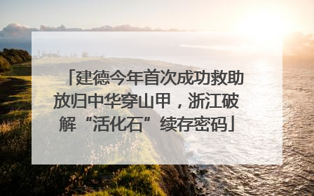 建德今年首次成功救助放归中华穿山甲，浙江破解“活化石”续存密码