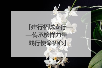 建行柘城支行——传承榜样力量 践行使命初心