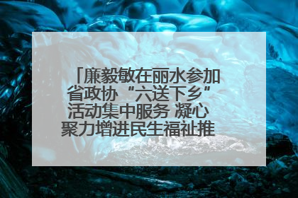 廉毅敏在丽水参加省政协“六送下乡”活动集中服务 凝心聚力增进民生福祉推进共同富裕