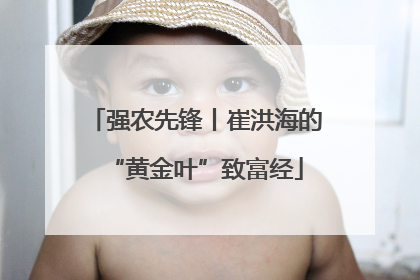 强农先锋丨崔洪海的“黄金叶”致富经