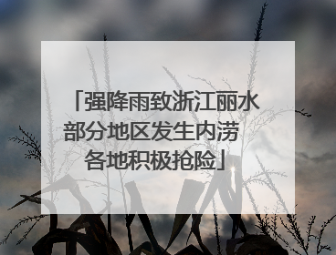 强降雨致浙江丽水部分地区发生内涝 各地积极抢险