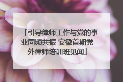 引导律师工作与党的事业同频共振 安徽首期党外律师培训班见闻
