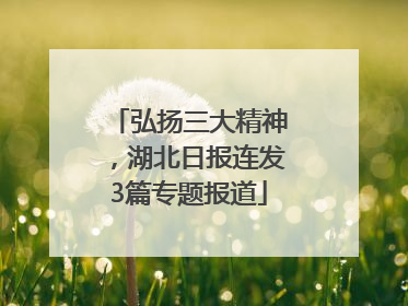 弘扬三大精神，湖北日报连发3篇专题报道