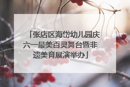 张店区海岱幼儿园庆六一最美百灵舞台暨非遗美育展演举办
