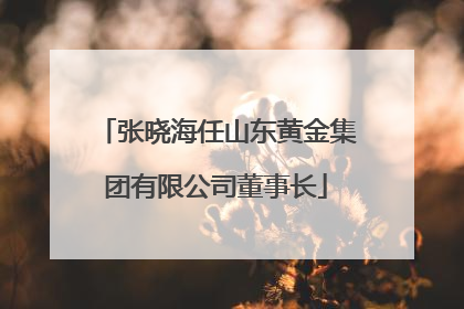 张晓海任山东黄金集团有限公司董事长