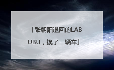 张朝阳退回的LABUBU，换了一辆车
