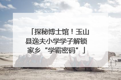 探秘博士馆！玉山县逸夫小学学子解锁家乡“学霸密码”