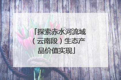 探索赤水河流域（云南段）生态产品价值实现