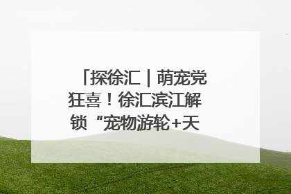探徐汇｜萌宠党狂喜！徐汇滨江解锁“宠物游轮+天台乐园”双玩法