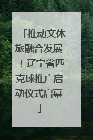 推动文体旅融合发展！辽宁省匹克球推广启动仪式启幕