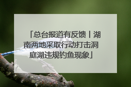 总台报道有反馈丨湖南两地采取行动打击洞庭湖违规钓鱼现象