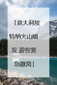 意大利埃特纳火山喷发 游客紧急撤离