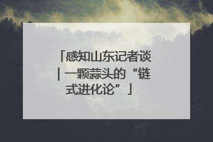 感知山东记者谈｜一颗蒜头的“链式进化论”