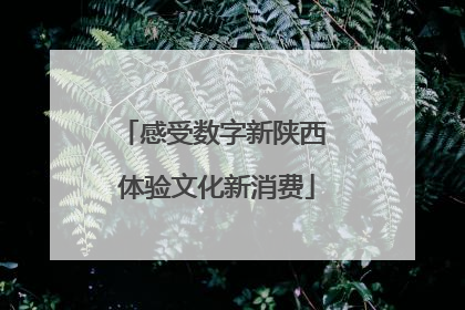 感受数字新陕西 体验文化新消费
