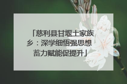 慈利县甘堰土家族乡：深学细悟强思想 蓄力赋能促提升