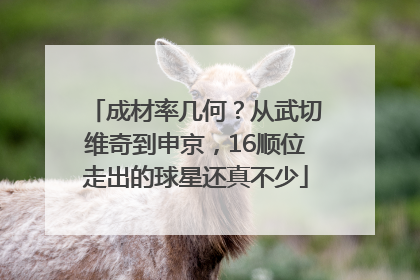 成材率几何？从武切维奇到申京，16顺位走出的球星还真不少