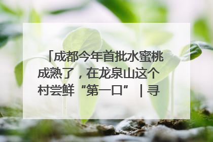 成都今年首批水蜜桃成熟了，在龙泉山这个村尝鲜“第一口”｜寻找和美乡村推荐官