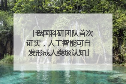 我国科研团队首次证实，人工智能可自发形成人类级认知