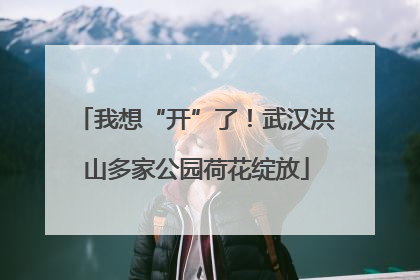 我想“开”了！武汉洪山多家公园荷花绽放
