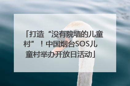 打造“没有院墙的儿童村”！中国烟台SOS儿童村举办开放日活动