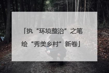 执“环境整治”之笔 绘“秀美乡村”新卷