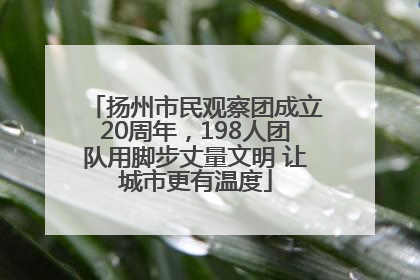 扬州市民观察团成立20周年，198人团队用脚步丈量文明 让城市更有温度