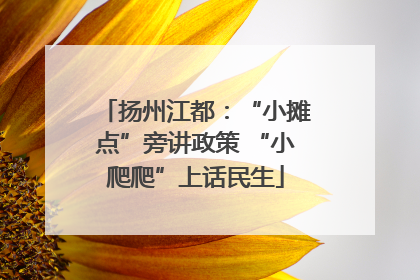 扬州江都：“小摊点”旁讲政策 “小爬爬”上话民生