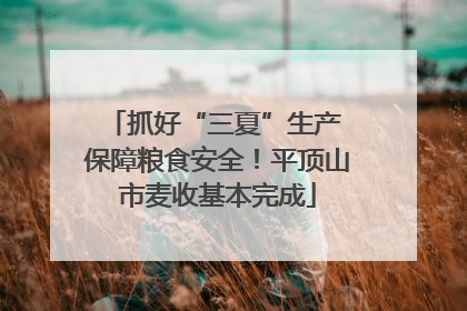 抓好“三夏”生产 保障粮食安全！平顶山市麦收基本完成