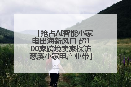 抢占AI智能小家电出海新风口 超100家跨境卖家探访慈溪小家电产业带